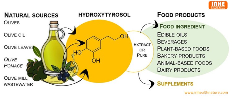 Hydroxytyrosol-Antioxidants