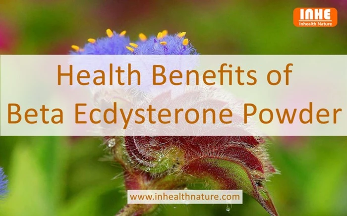 Health Benefits of Beta Ecdysterone Powder