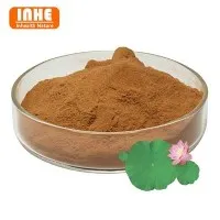 Екстракт от листа на лотос на прах