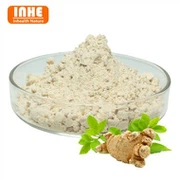 Panax notoginseng екстракт прах