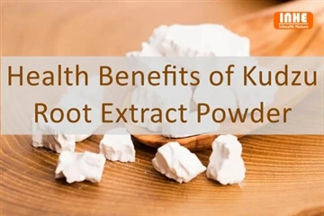 За какво е полезен екстрактът от корен Kudzu?