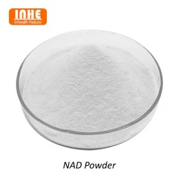 Защо липозомната технология е подходяща за NAD прах?