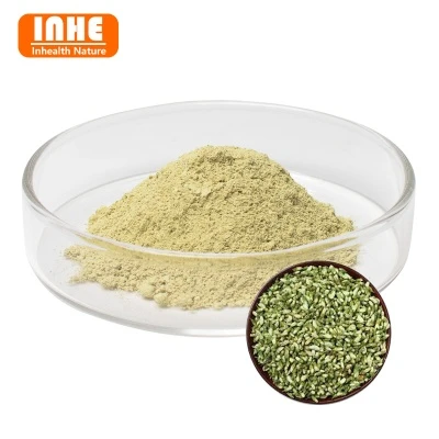 Как RUTIN 98% Powder влияе върху здравето на бъбреците?