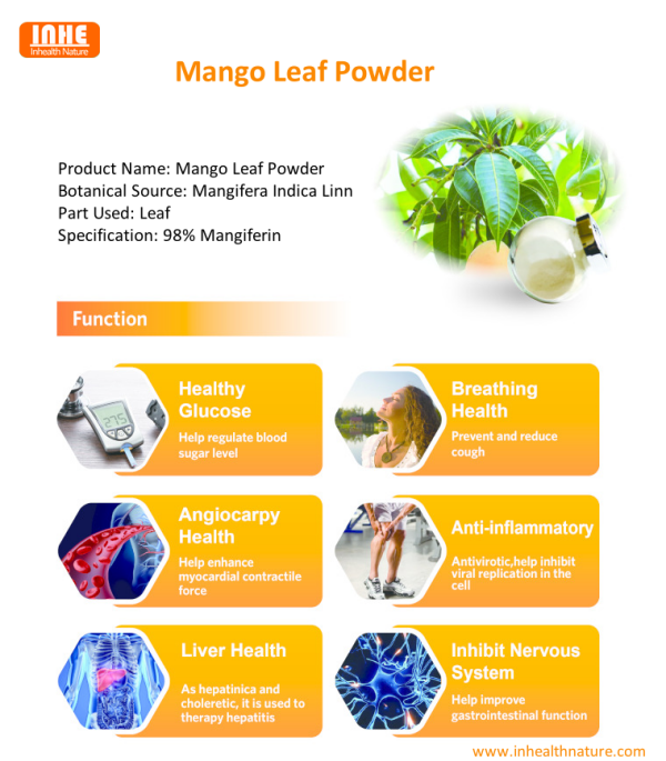 Mango Leaf Powder Health Benefits