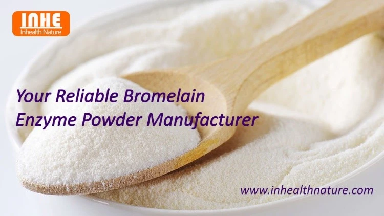 Bromelain Enzyme Powder