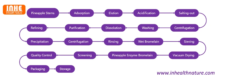 Inhealth Nature Pineapple Enzyme Bromelain Production Flow Chart