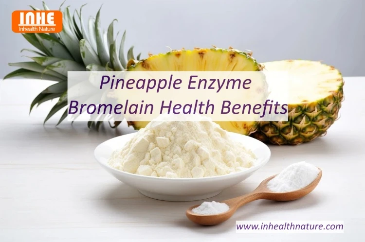 Pineapple Enzyme Bromelain Health Benefits